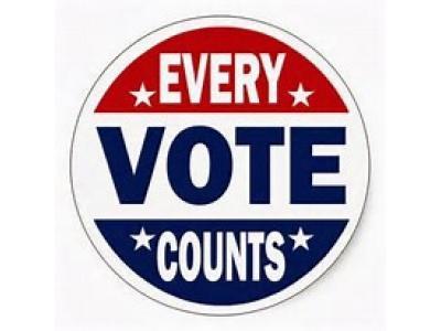 every_vote_counts.jpg